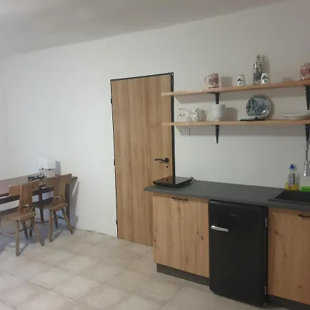 Snina Studio Apartment
